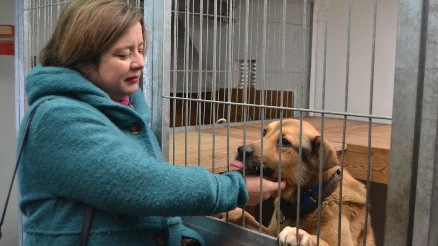 Ana Taboada en el albergue municipal de Animales.