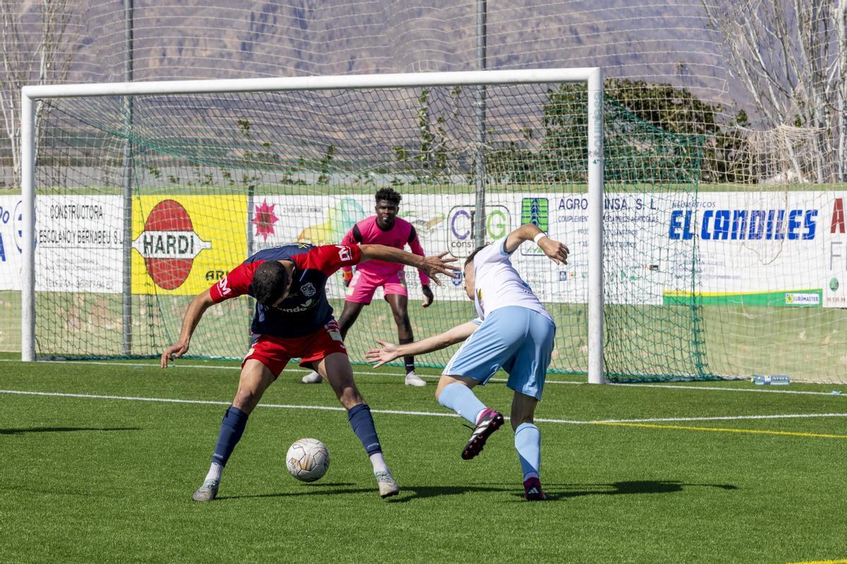 El Sporting Costa Blanca Torrevieja asciende a la Lliga À Punt Comunitat, la antesala de la tercera división