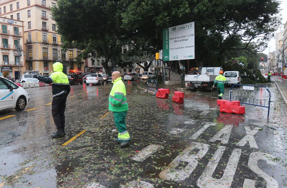 Incidencias de la borrasca Ana en Málaga capital