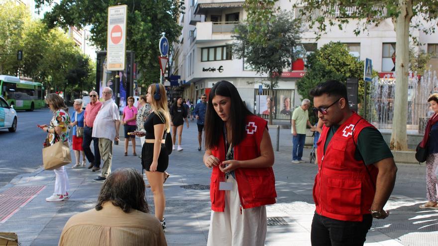 El CFP Cruz Roja de Córdoba imparte dos titulaciones de FP que podrán tener prácticas en el sector público