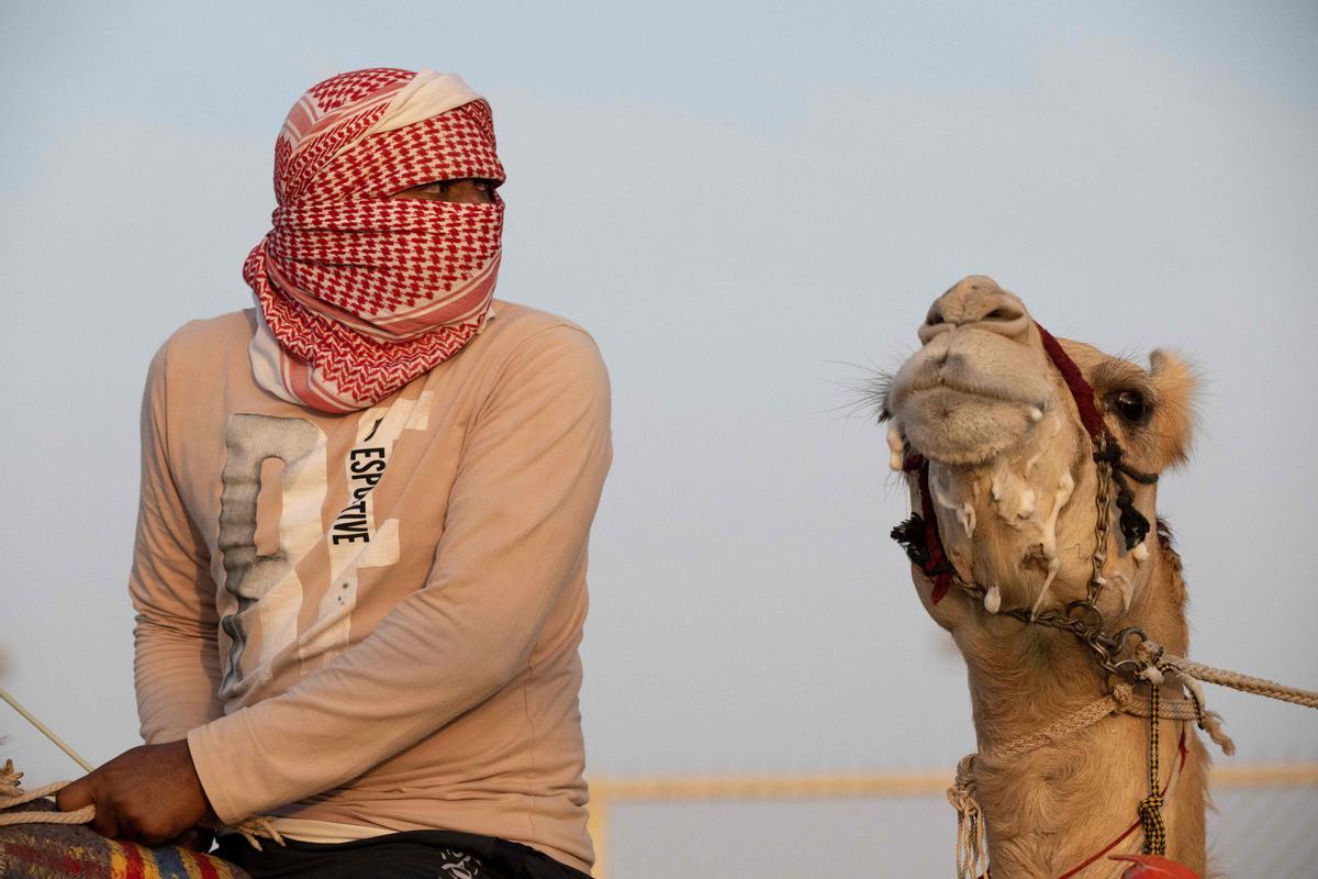 Carrera de camellos con jinetes-robot en Al Sheehaniya (Doha).