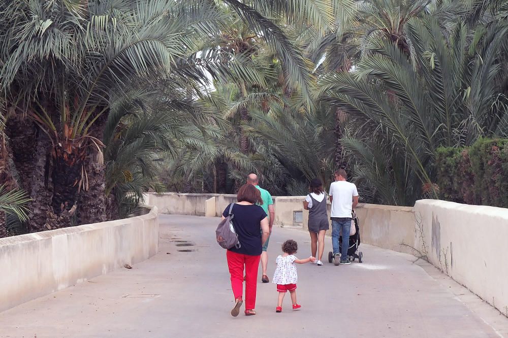 La ruta del Palmeral, abandonada