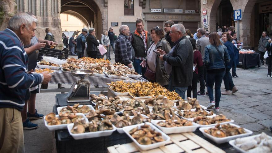 Fira de la llenega de Cardona, l&#039;any passat