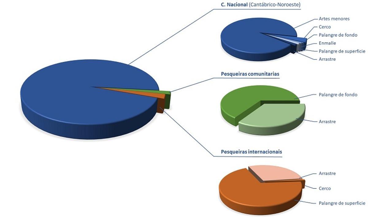 La distribución de la flota por caladeros.