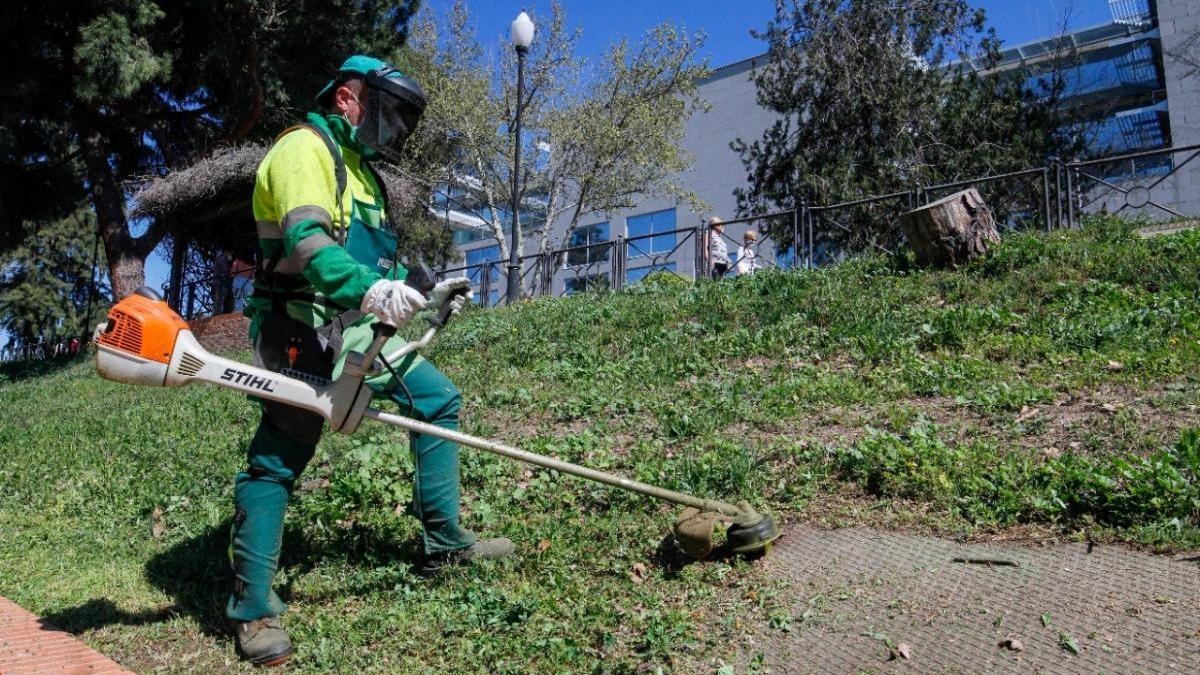 El ayuntamiento adelanta la campaña de desbroce