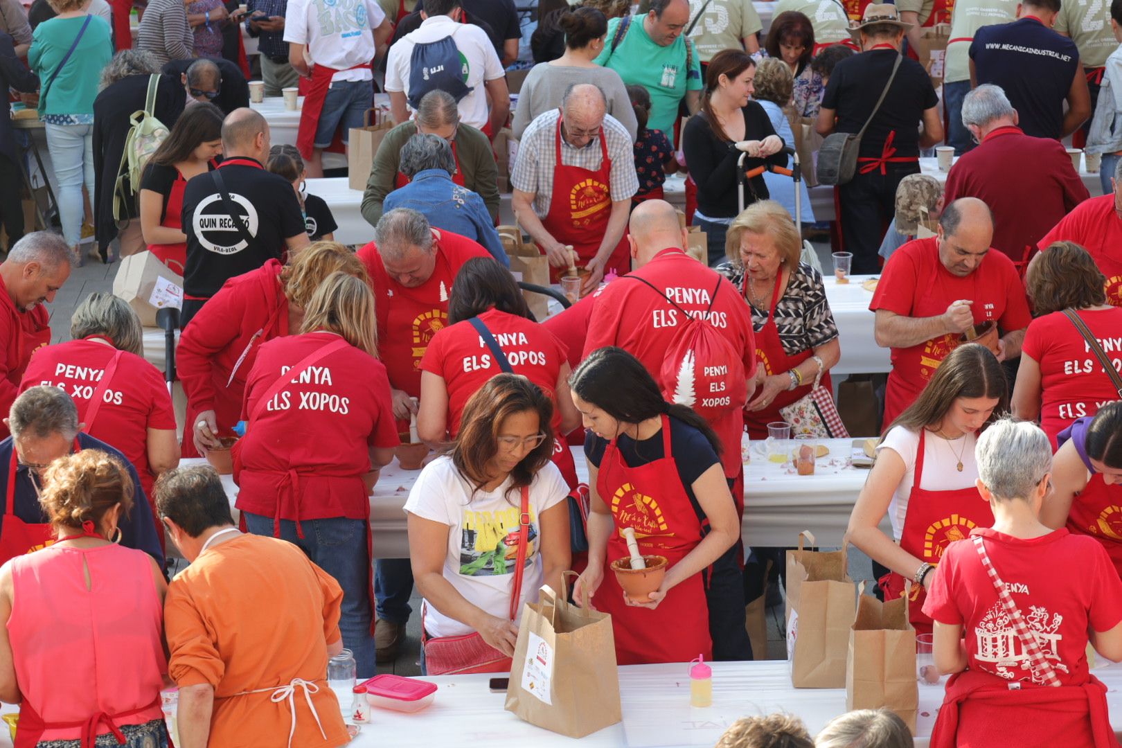 FOTOGALERÍA I Las imágenes de la Nit de la Xulla y del encuentro de elaboración de allioli de las fiestas de Vila-real