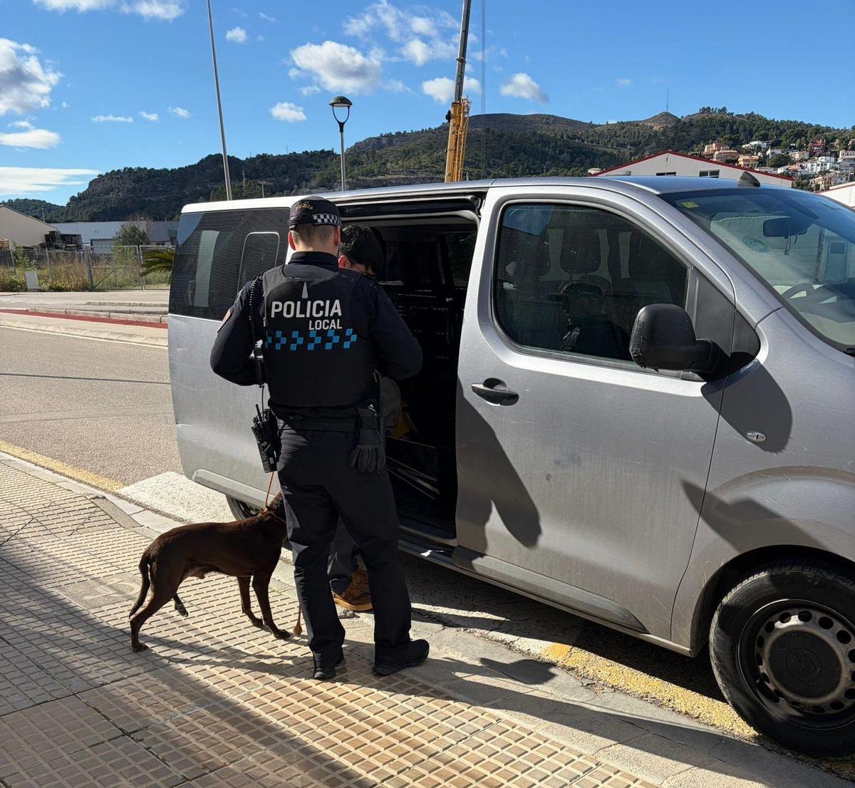 Momento del rescate de uno de los perros.