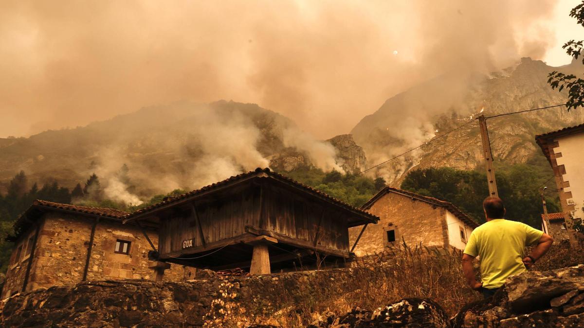 ¿Por qué hubo incendios tan pavorosos en Asturias el pasado verano? Los ...