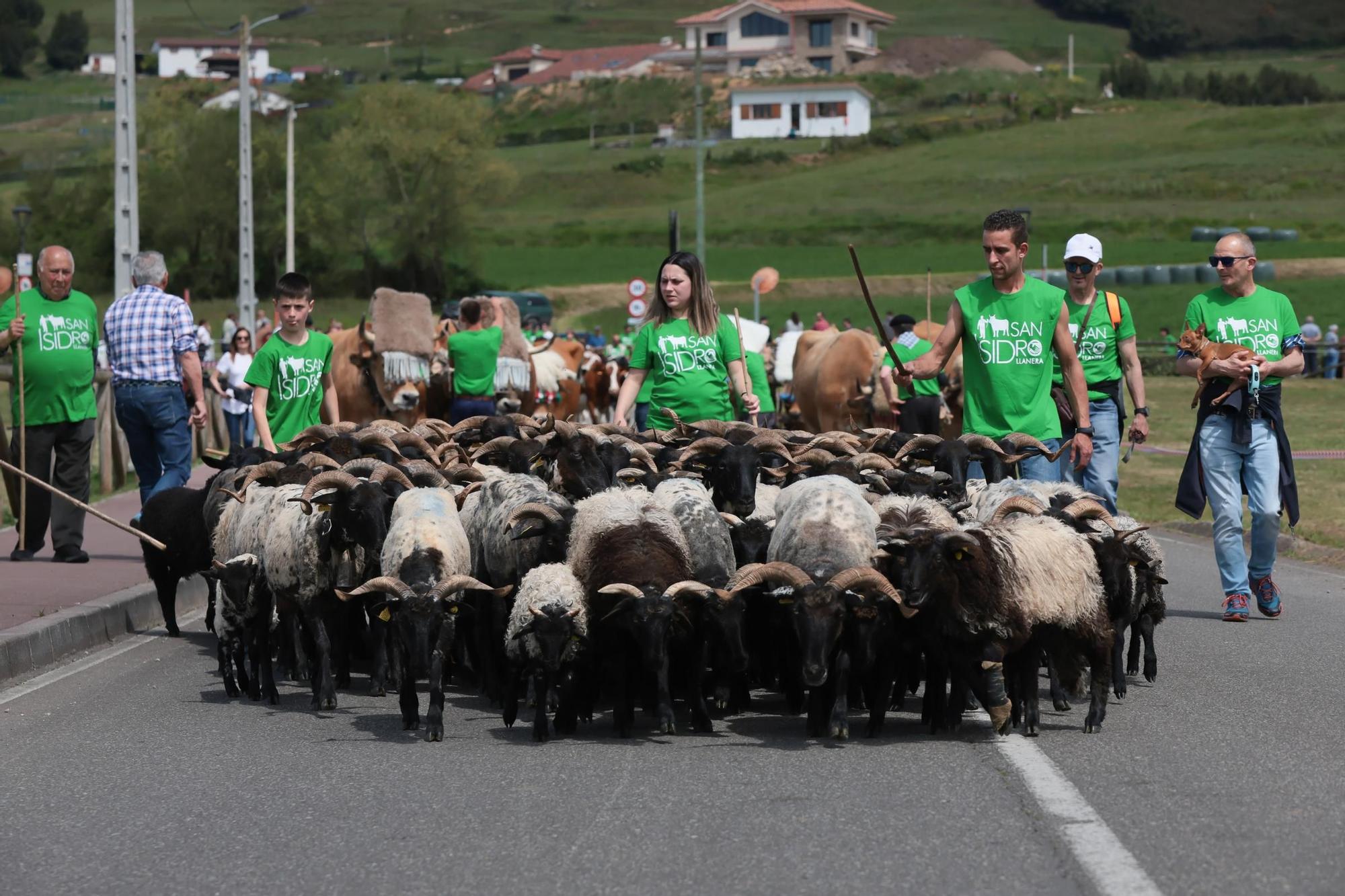 Marea verde en Llanera: el campo tomó la calle con el espectacular desfile de carros y animales