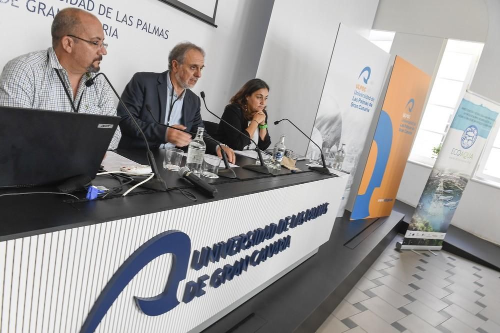 Reunión final del proyecto europeo MarSP para informar sobre la Ordenación Espacial Marina en Canarias