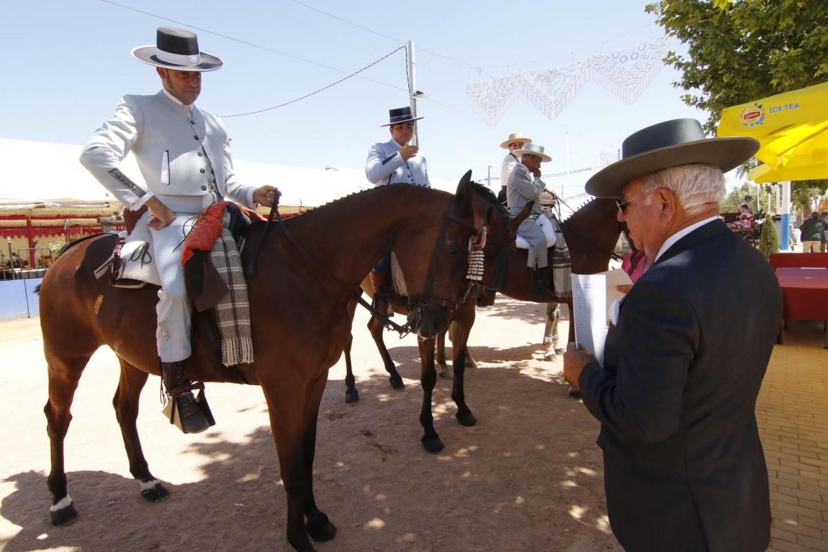 Los mejores en El Arenal