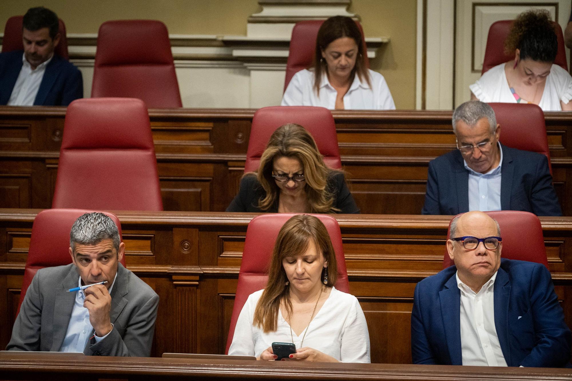 Pleno del Parlamento de Canarias (29/03/23)