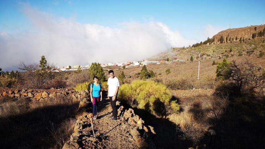 El Ayuntamiento realizó diferentes labores de fumigación y poda para poner en valor y recuperar el esplendor de la floración del almendro