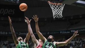 Allen y Parker, del Joventut, pugnan por un rebote en el duelo contra el UCAM Murcia.