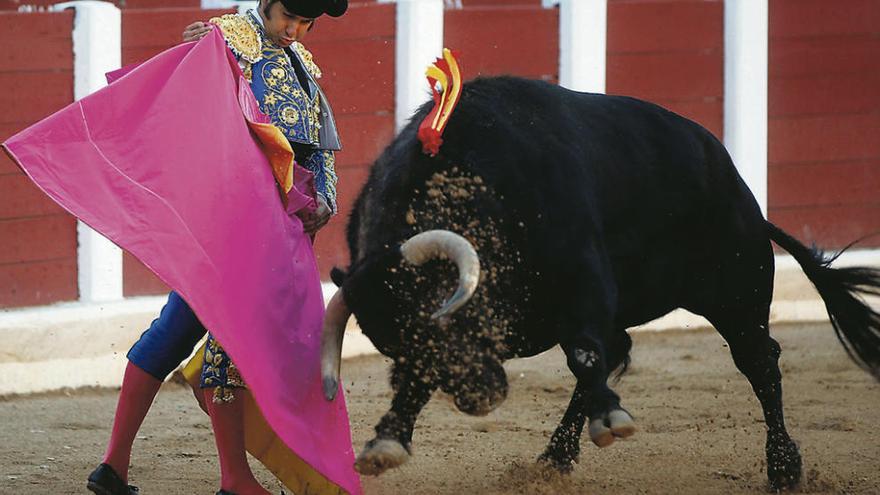 Saludo a la verónica de Morante de la Puebla.