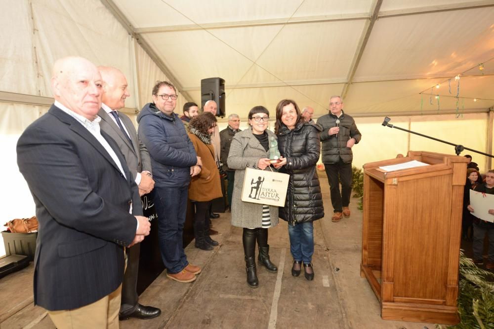 XXVII Certamen de Queso de Afuega'l Pitu en Morcín