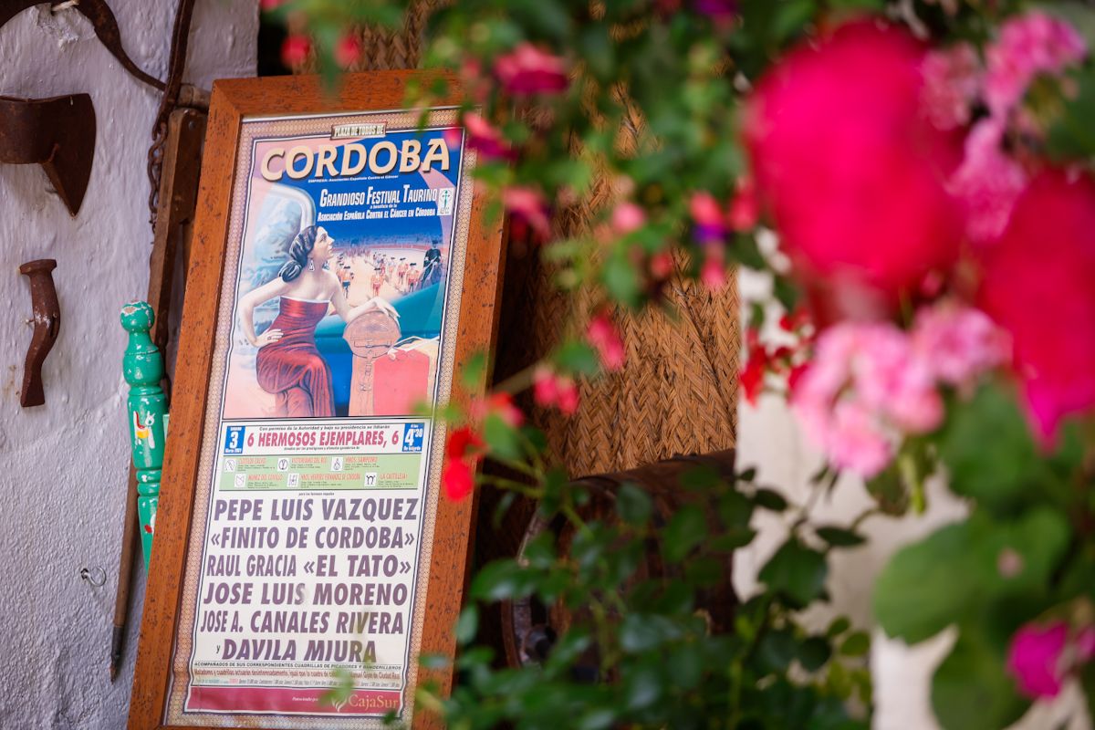 Así lucen los patios más visitados de la fiesta