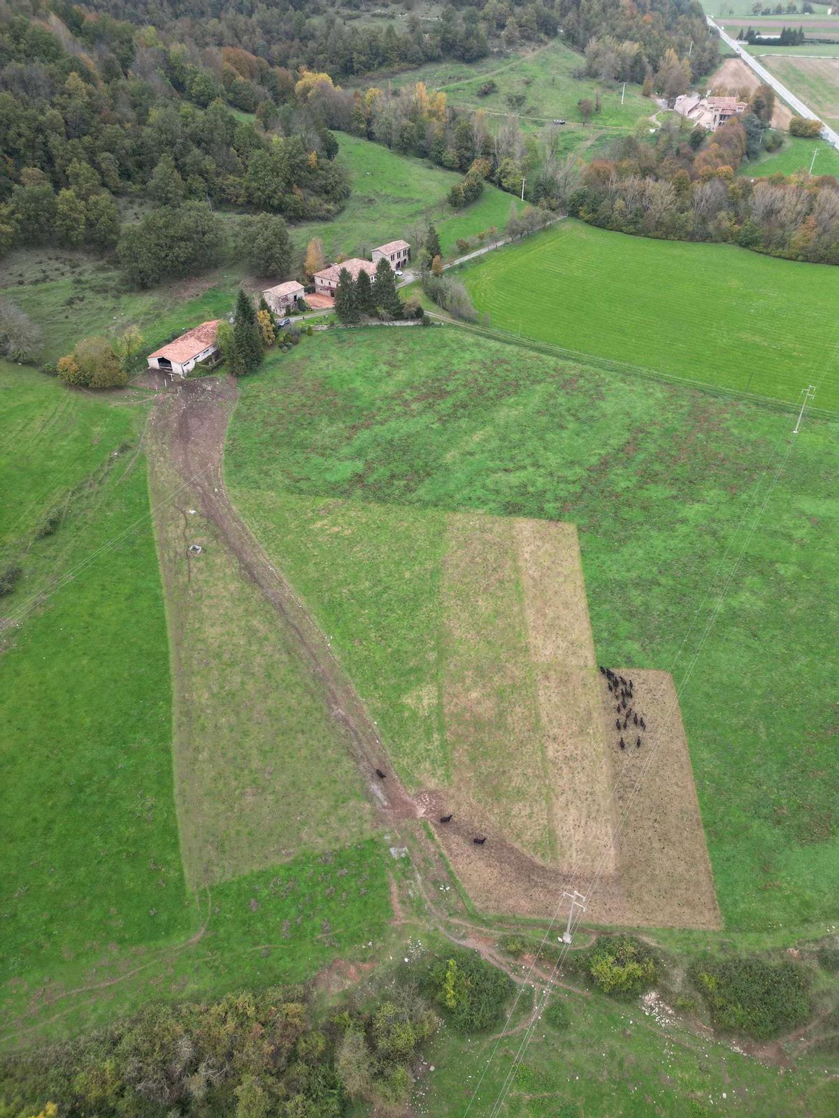 Ramaderia regenerativa al Ripollès