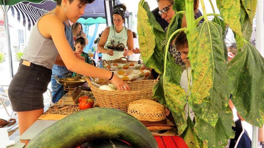 Monesterio suspende la IX Feria Comarcal del Huerto