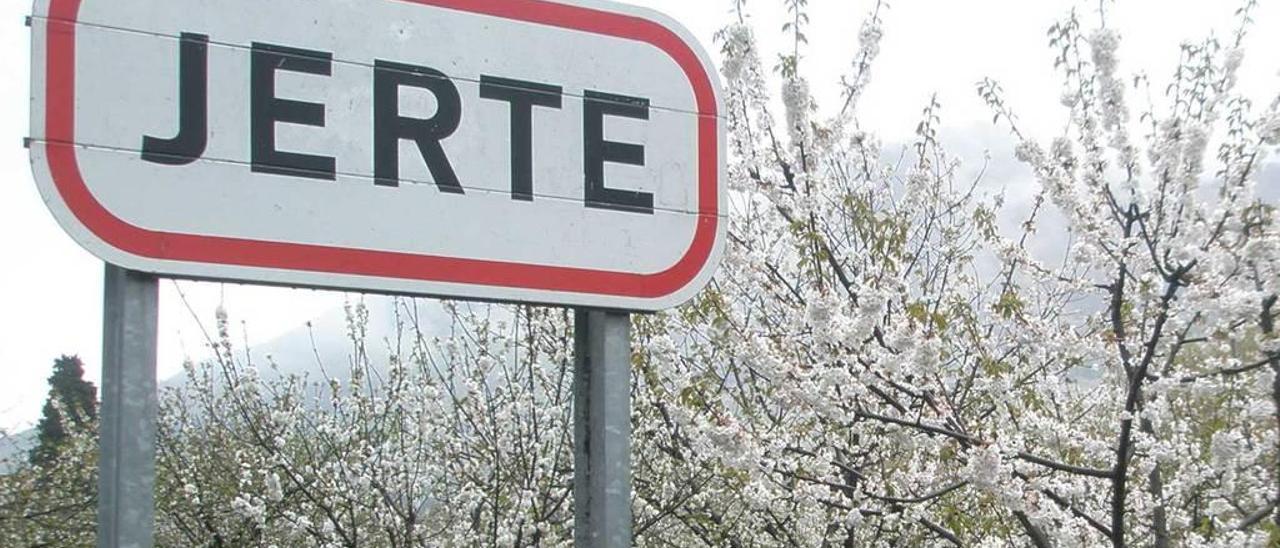 Cerezos en flor, en el Jerte.