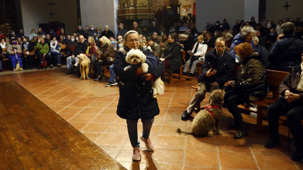 Los zaragozanos acuden a la parroquia de San Antón para la tradicional bendición de sus animales