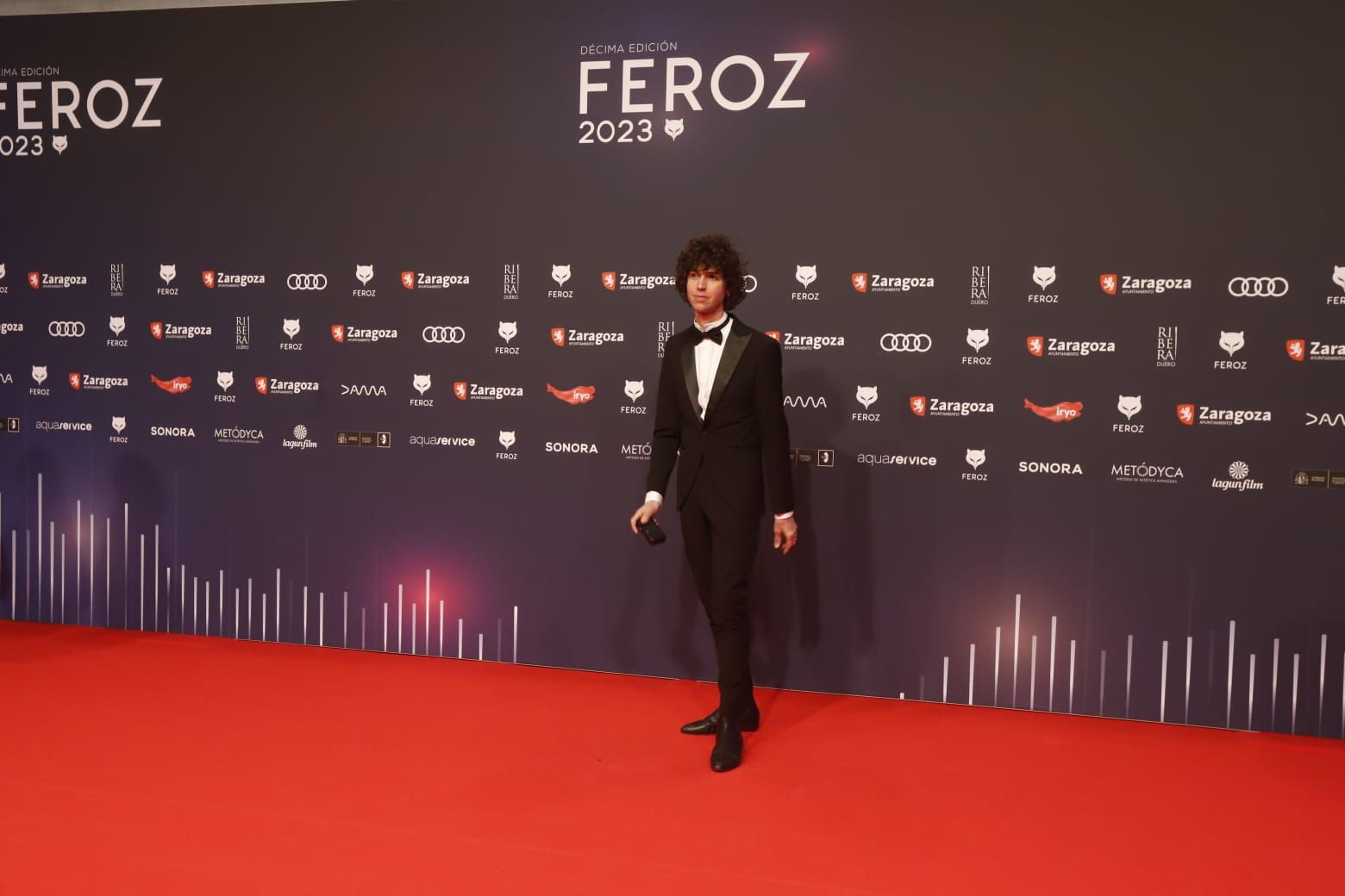 Alfombra roja de los premios Feroz