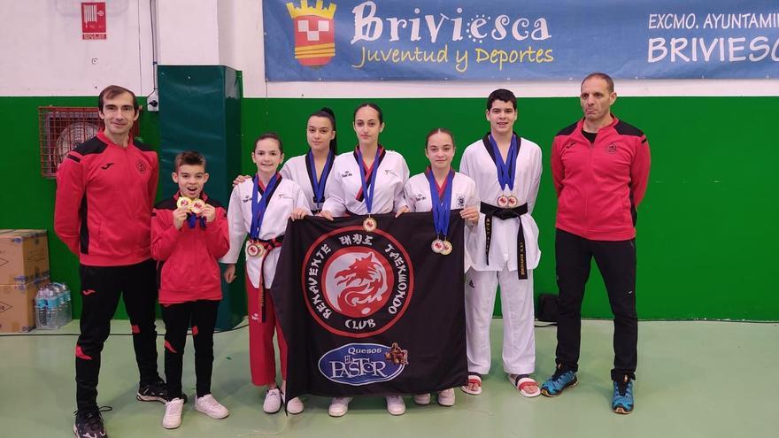 Club Taekwondo Benavente Quesos El Pastor, sobresaliente en el Campeonato de Castilla y León de Poomsaes Adulto