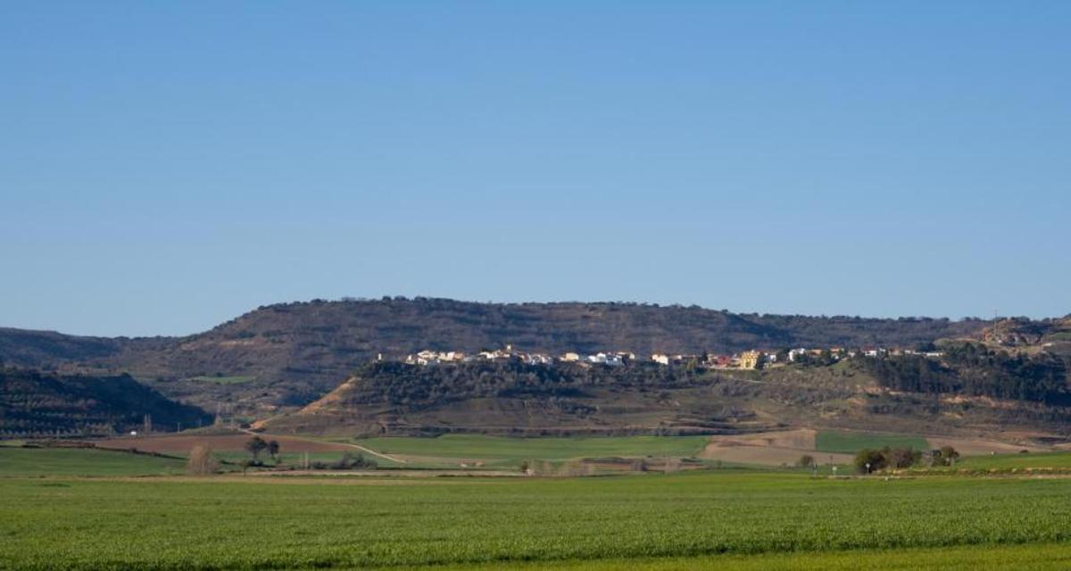 Monte de Castejón.