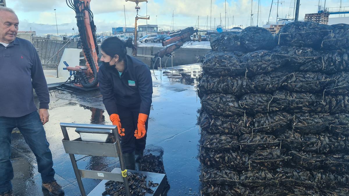 Una controladora de calidad de Mexillón de Galicia conversa con un comercializador mientras pesa el producto.