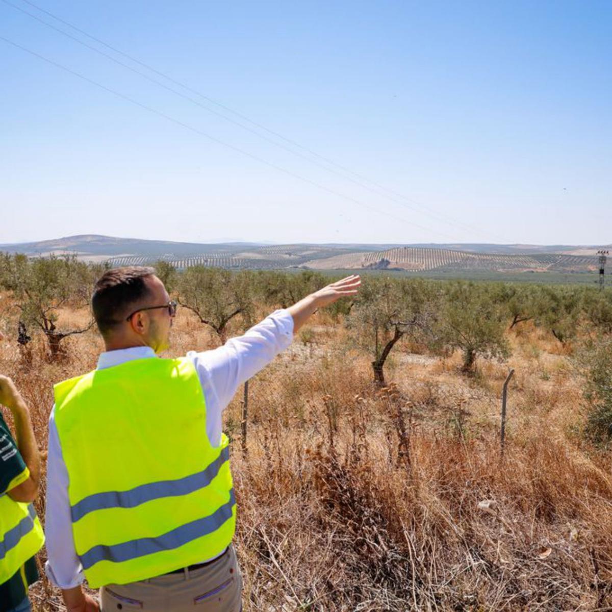 Yévenes señala la parcela ya adquirida en la que se levantará el nuevo Polo Verde en Montalbán. | MANUEL MURILLO