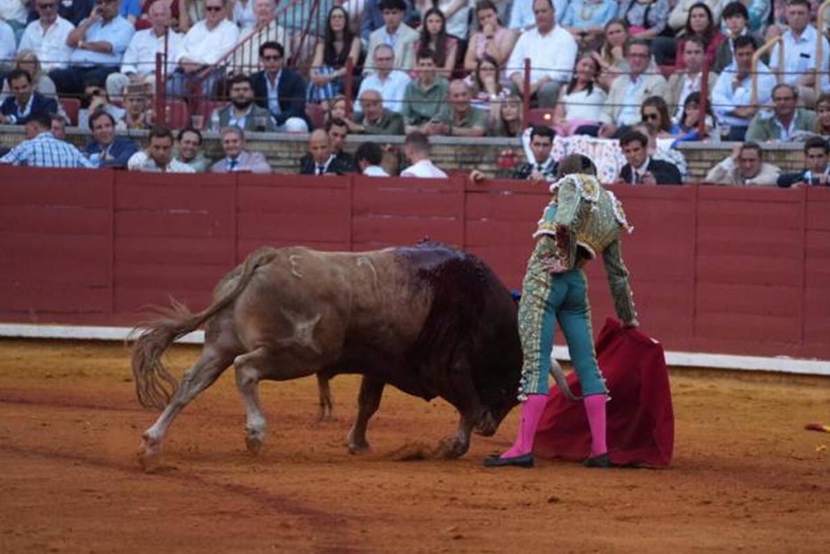 Tercer festejo taurino de la Feria de Córdoba, en imágenes
