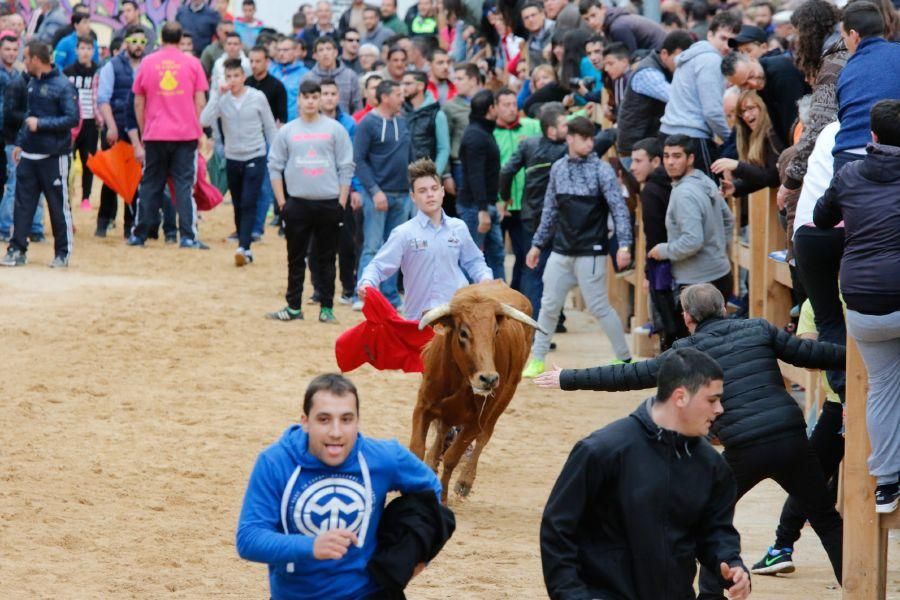 Encierros en Morales del Vino