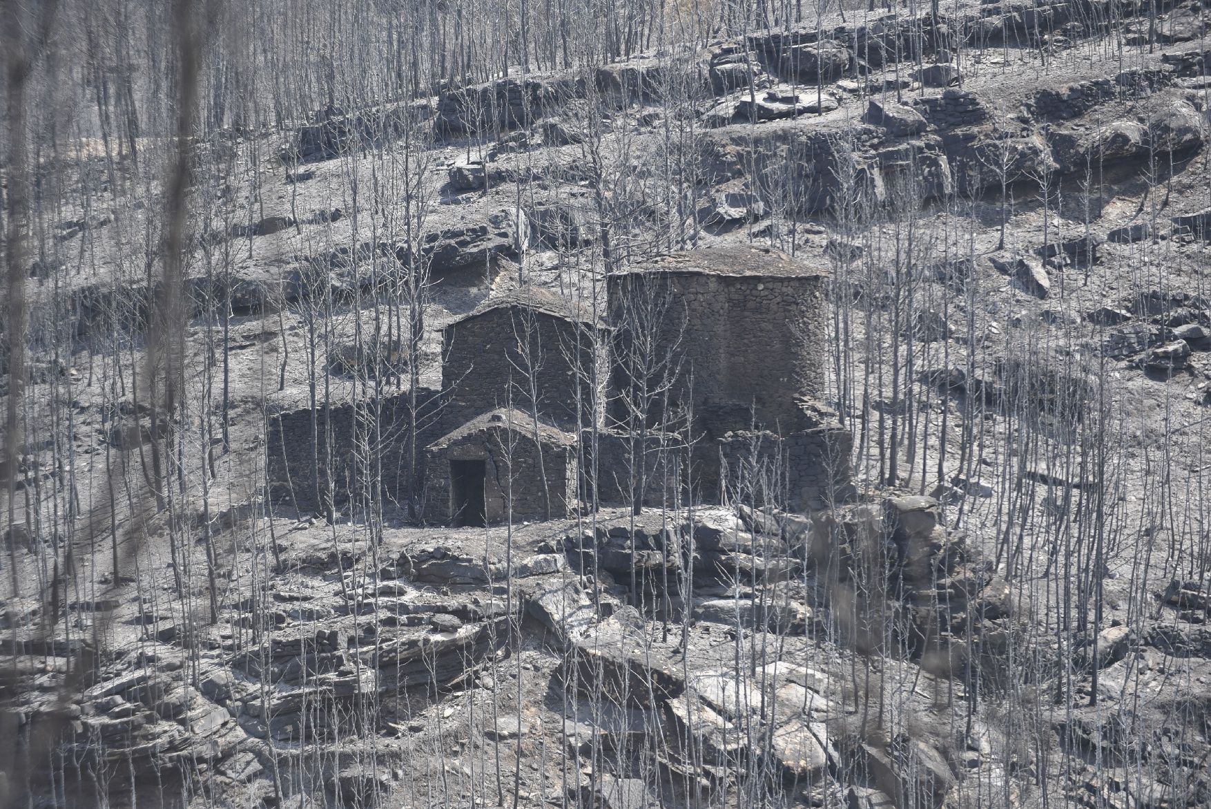 Així ha afectat el foc les tines de la Vall del Flequer