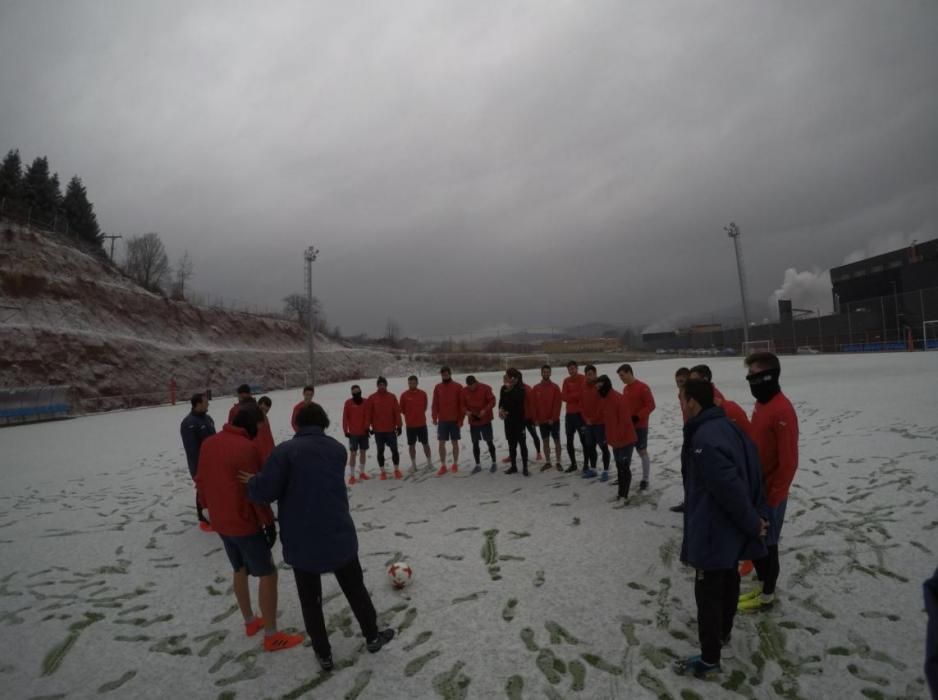 El camp de l'Olot es desperta emblanquinat per la neu