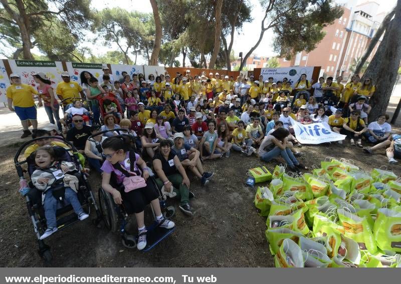 GALERÍA DE FOTOS- Jornada para Crecer en Diversidad en el Pinar