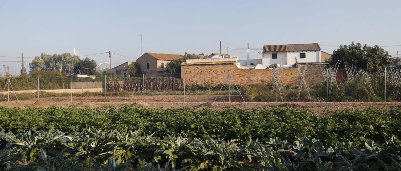 Zona de huerta de la Punta.