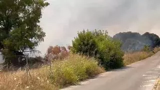 El Infoca da por controlado el incendio originado en Palomares que ha afectado a Mairena del Aljarafe
