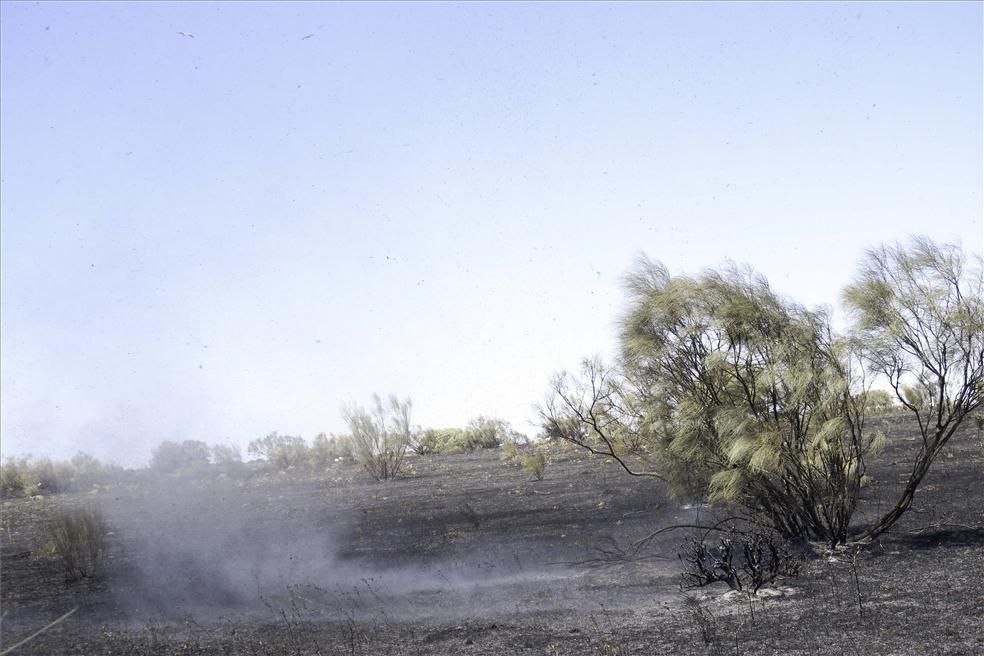 Incendio forestal en Cáceres