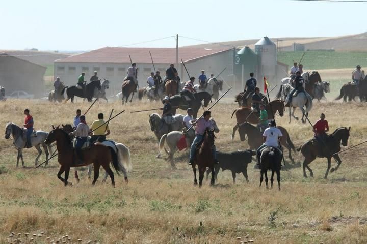 Encierro en Guarrate