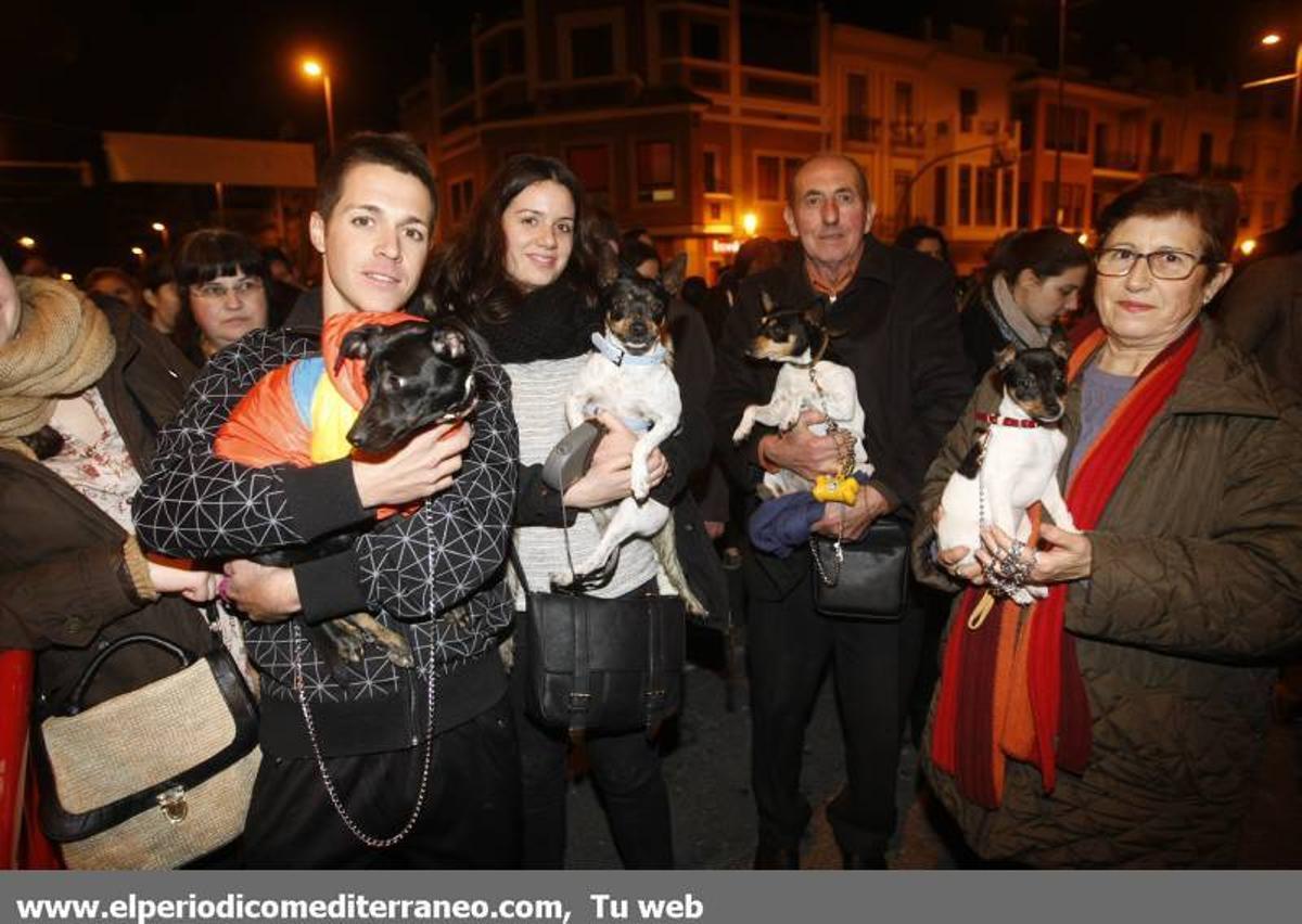 GALERÍA DE FOTOS -- Bendición de animales en Almassora