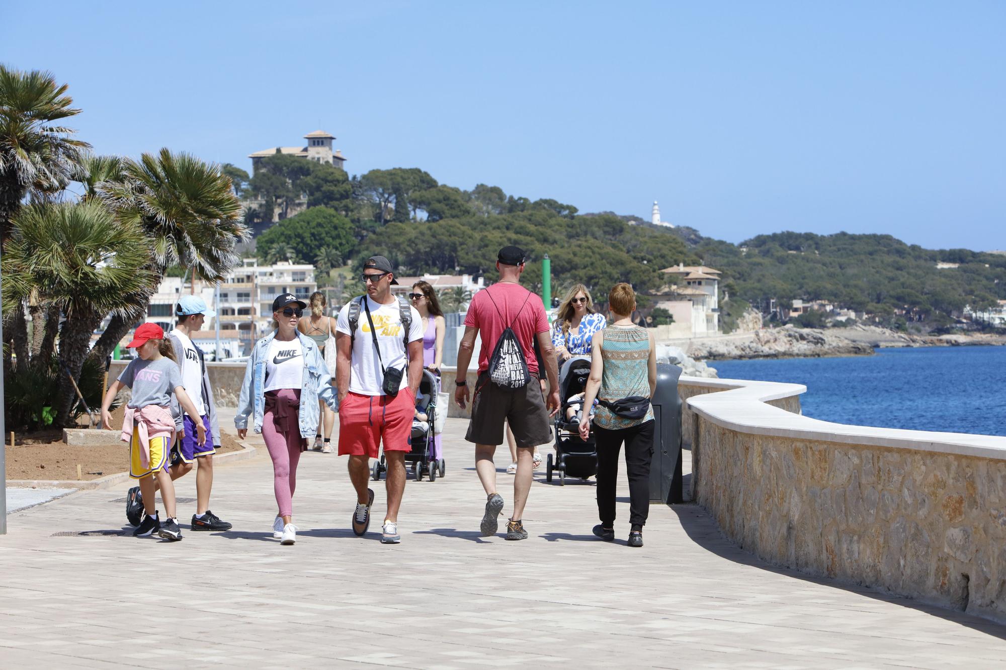 Frühlingsgefühle an der Promenade von Cala Ratjada