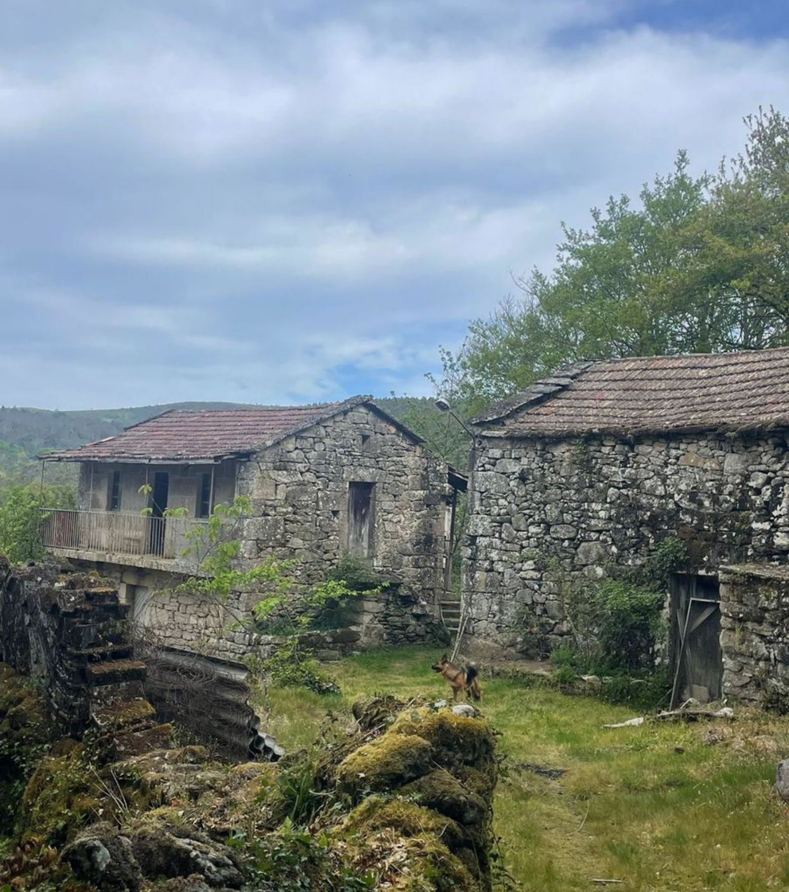 Viviendas en venta en O Irixo. | FdV