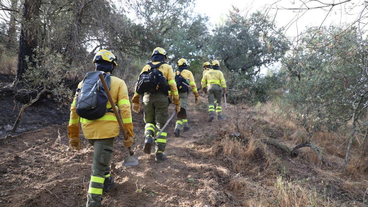 Un incendio en Las Jaras de Córdoba moviliza un fuerte despliegue del Infoca