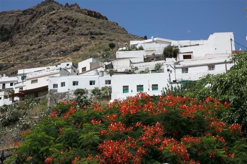 Dentro verano: Valle de Agaete