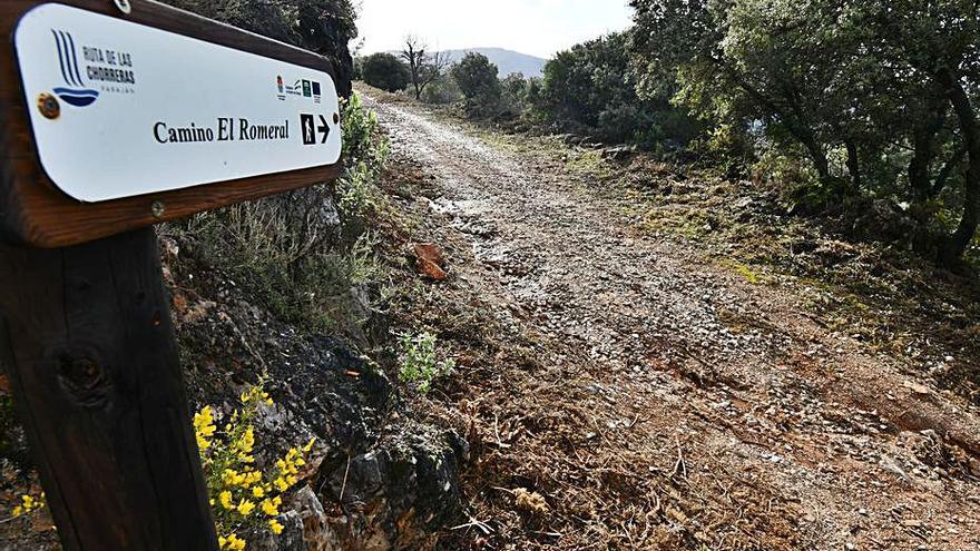 Camino El Romeral. | L.O