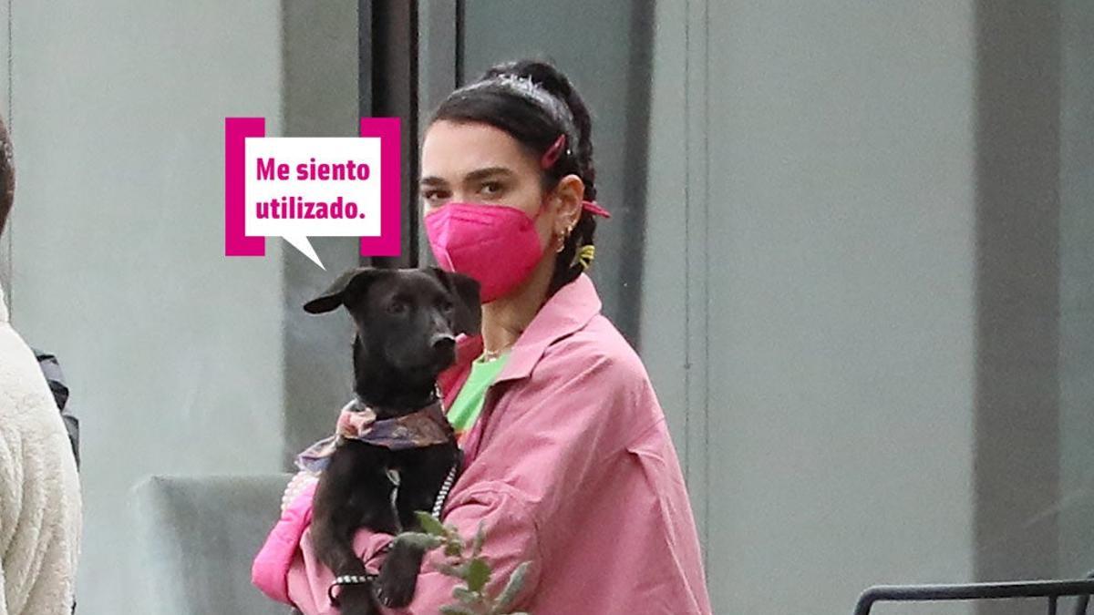 Ropa holgada + perro: ¿la táctica para ocultar embarazo de Dua Lipa?