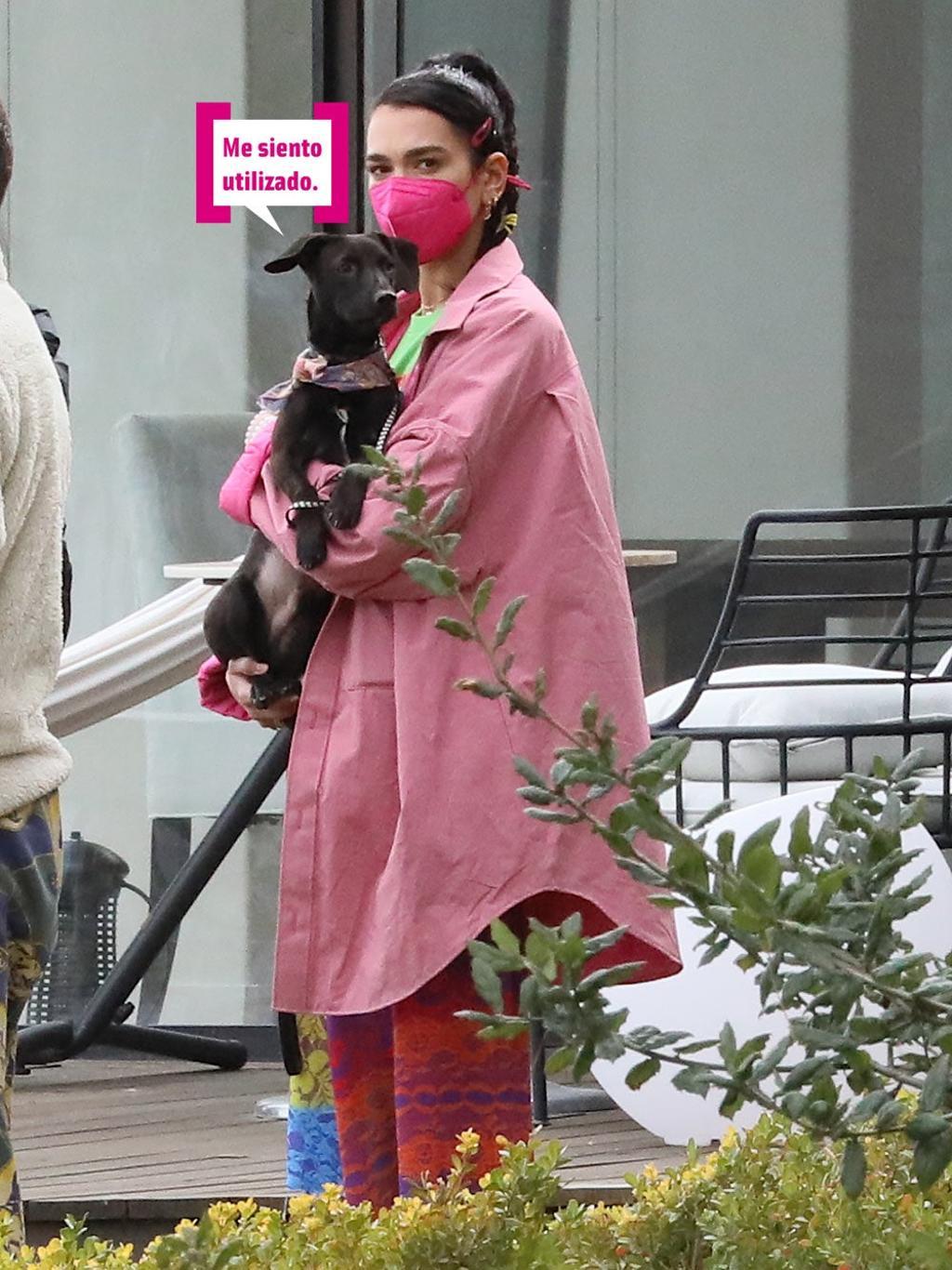 Dua Lipa con su perro Dexter