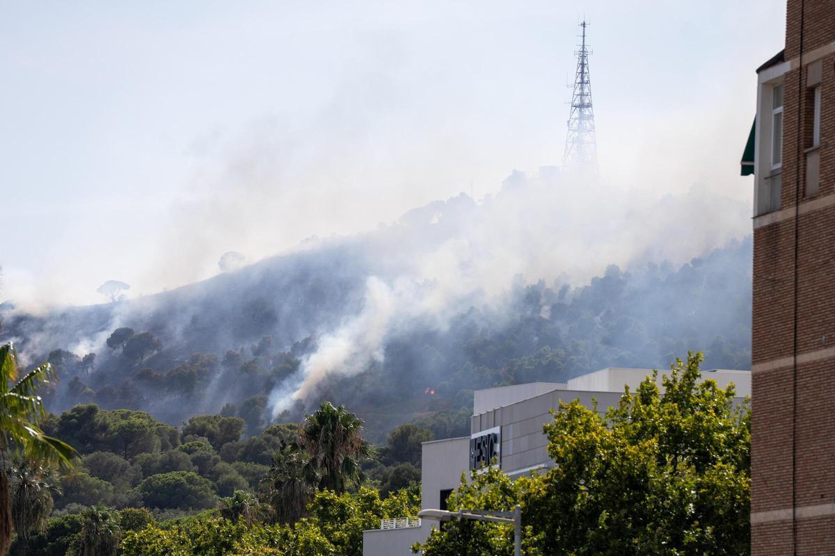 Incendio forestal en el Parque Natural de Collserola Incendio forestal en el Parque Natural de Collserola