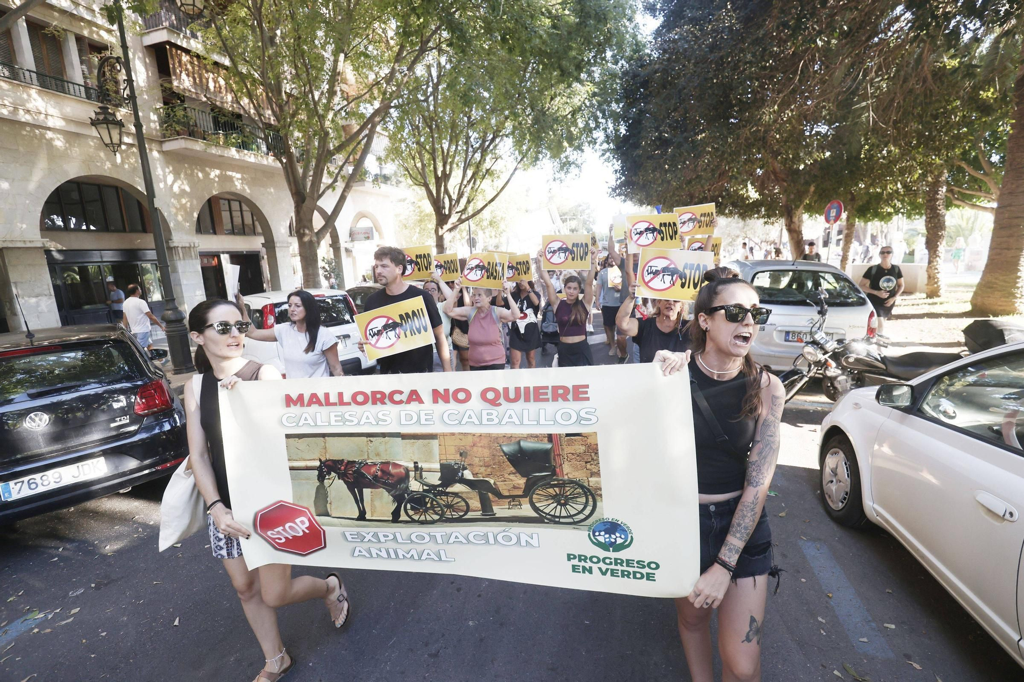 Las imágenes de la protesta contra las galeras de caballos en Palma