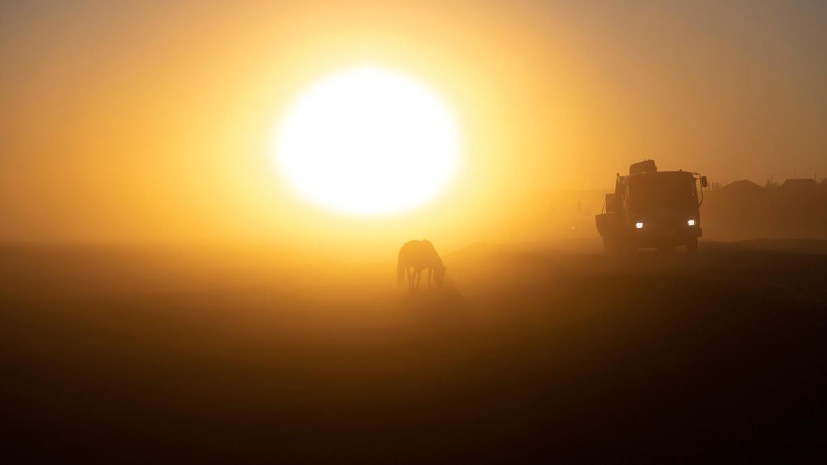 Un caballo alimentándose cerca de la ciudad de Kolyma, en la República de Sajá.